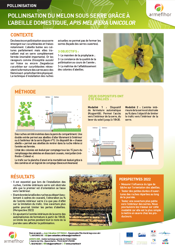 couv_POSTER Pollinisation abeille melon 2022