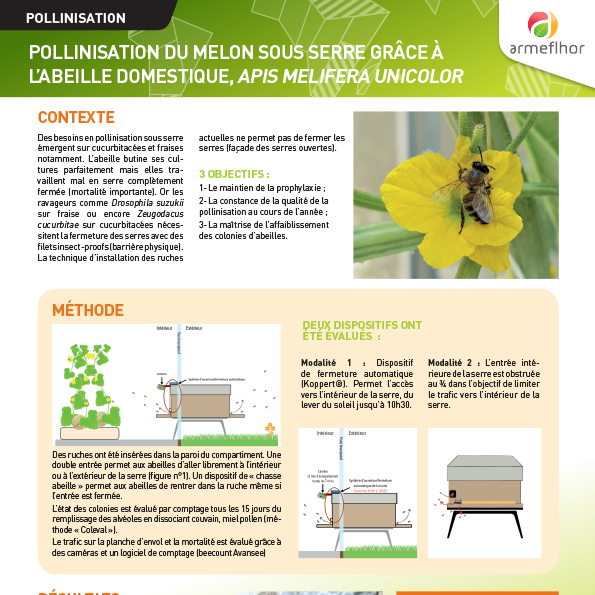 sq_POSTER Pollinisation abeille melon 2022
