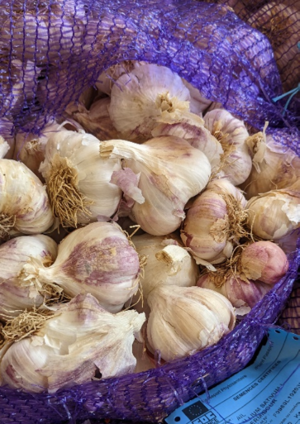 _images dans les fiches