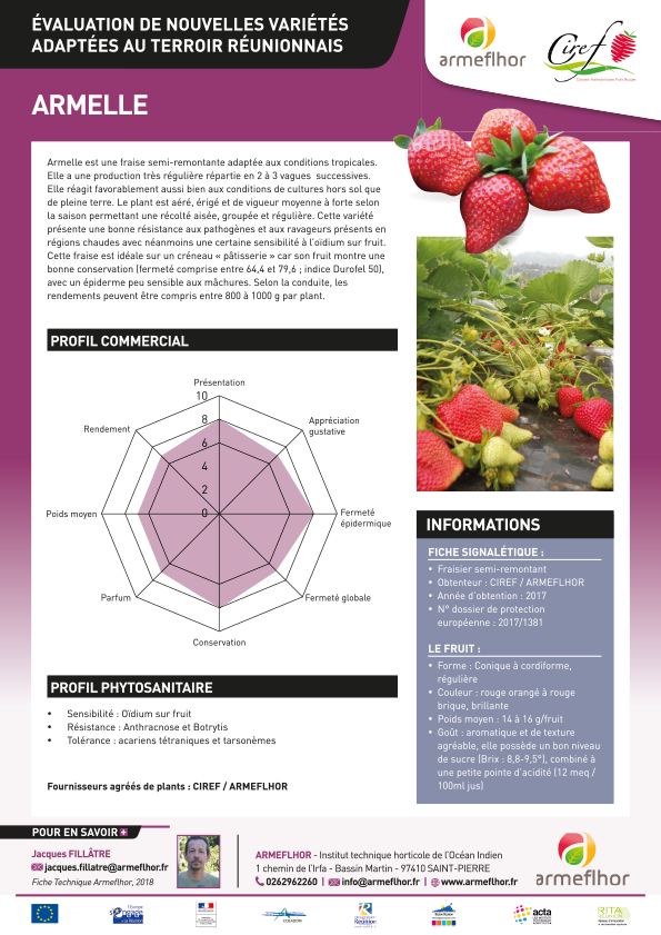 Vari t De Fraise ARMELLE Armeflhor
