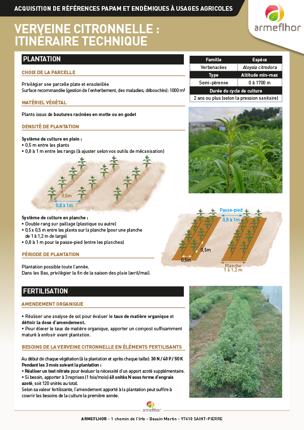 Couv_FT verveine citronnelle itinéraire technique 2020