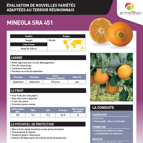 sq_FT Variété agrume mineola sra 451 2017