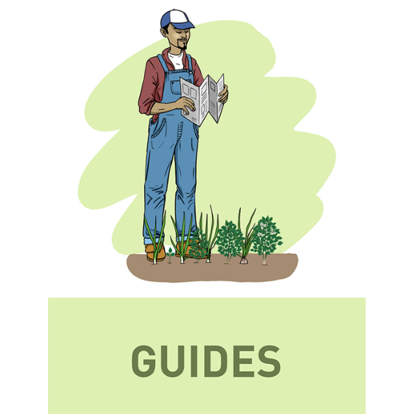 Guide