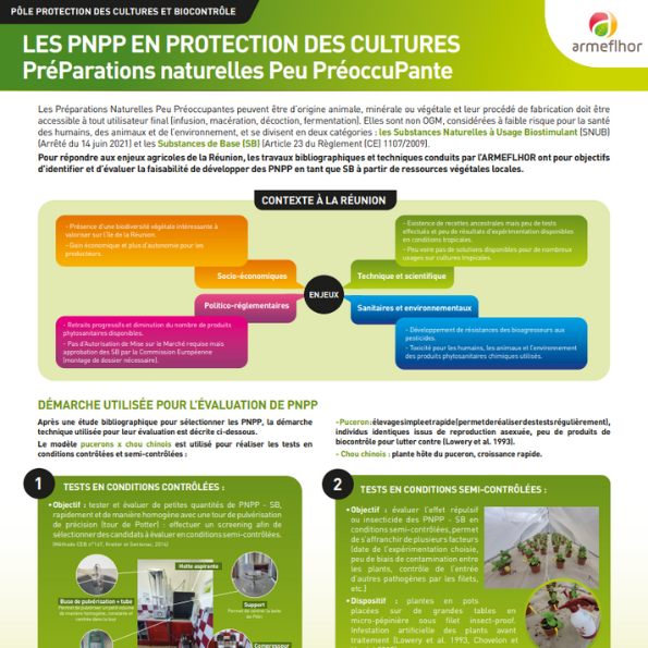 Poster PNPP