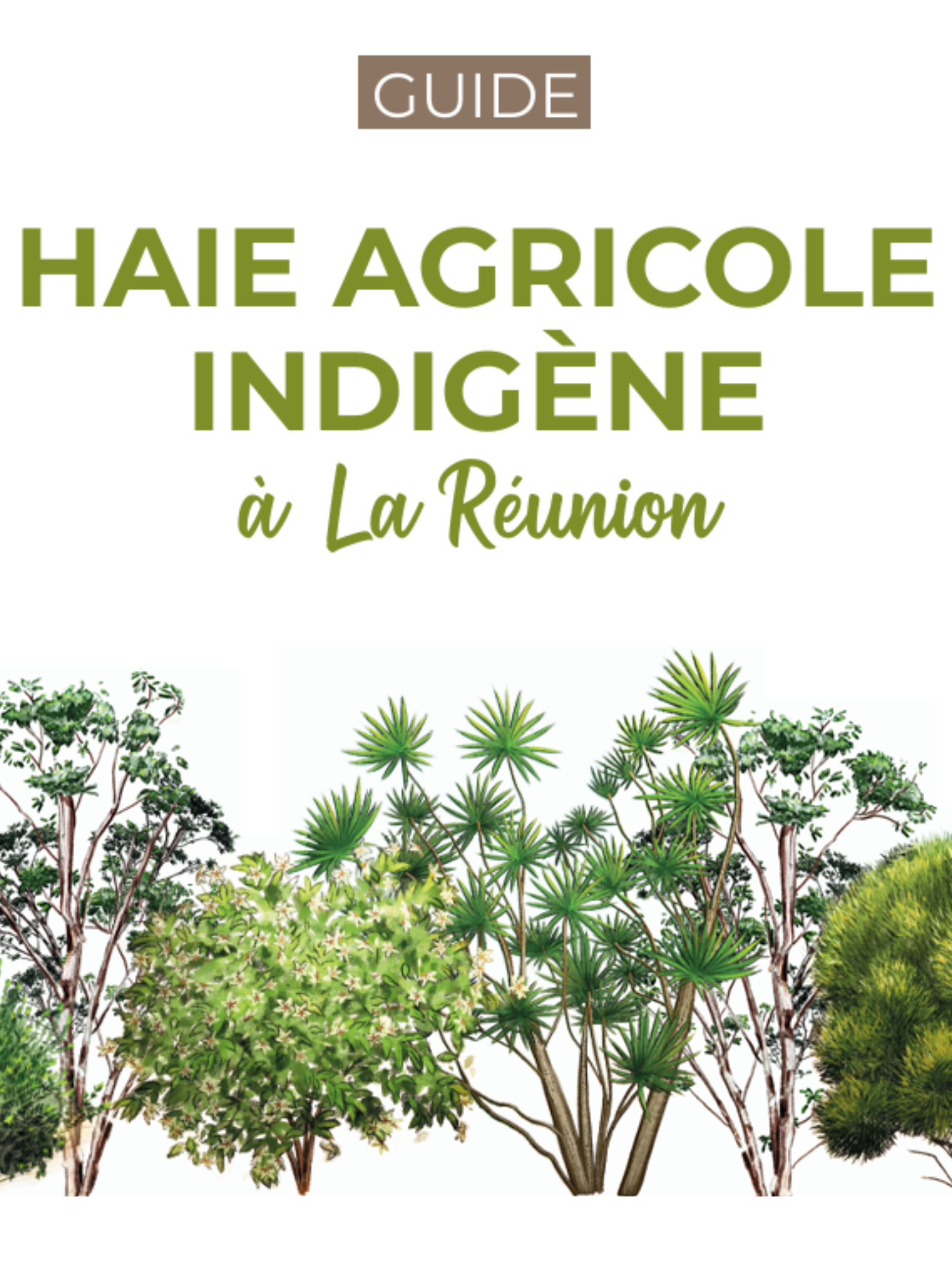 1ʳᵉ couverture du guide des haies agricoles indigènes