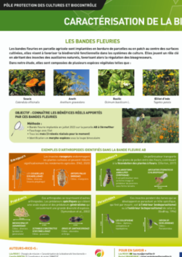 Posters