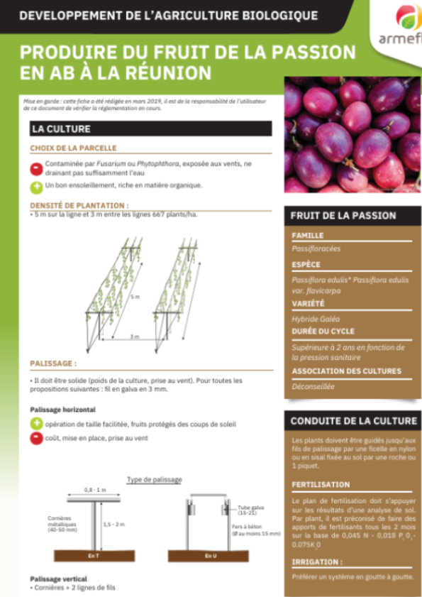 _images dans les fiches (1)