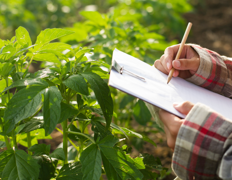 Technicien(ne) d’expérimentation – Protection des cultures et Biocontrôle (CDD 10 mois)