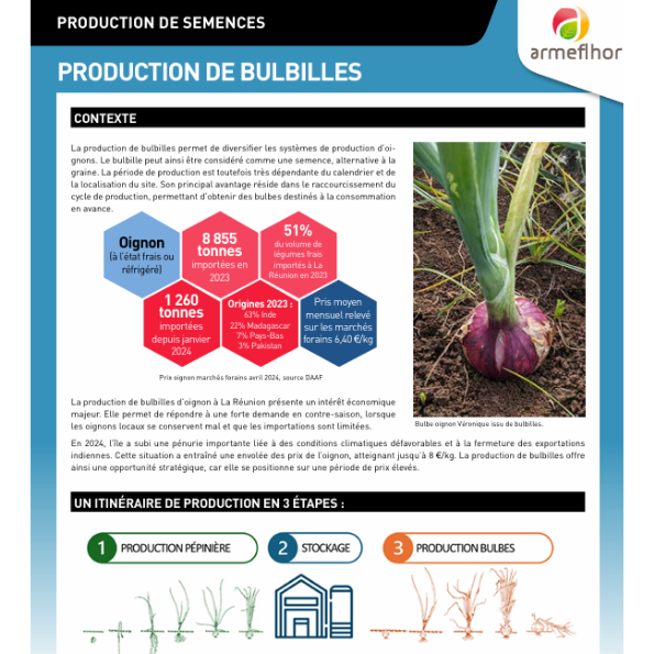 IMAGINE TEXTE SITE INTERNET FERTILE 62