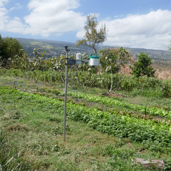 Image - texte site internet