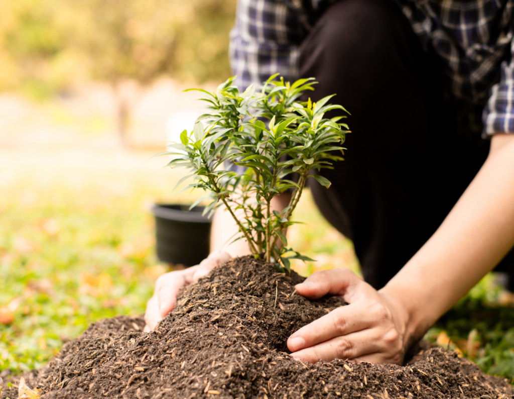 Technicien(ne) d’expérimentation agricole en agroforesterie