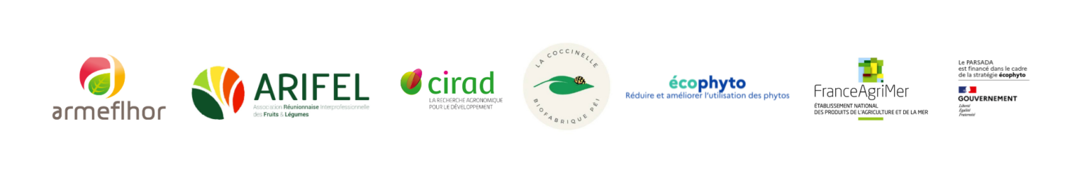 Logos des partenaires technique et financier pour le projet SA'IRA