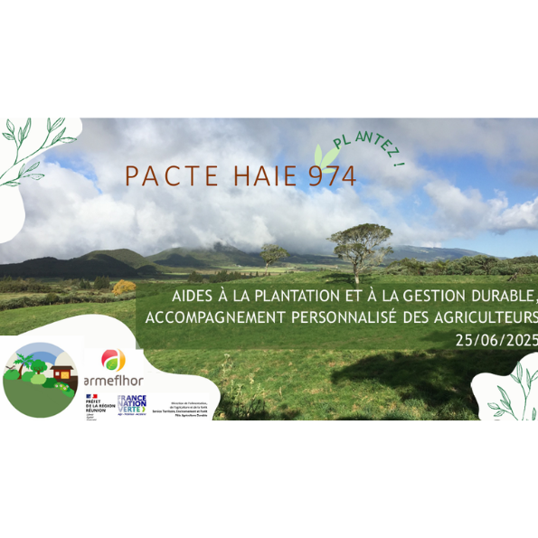 Pacte Haie 974 : aides à la plantation, accompagnement et premiers résultats à La Réunion