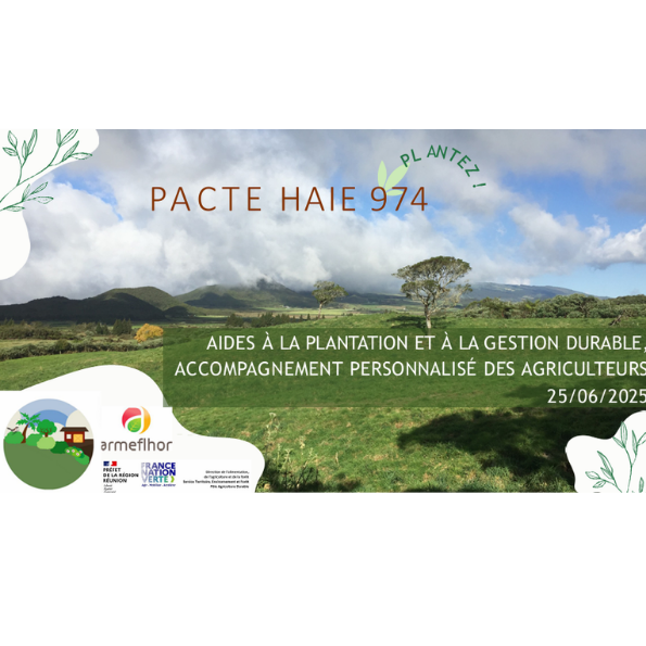 Image - texte site internet (1)