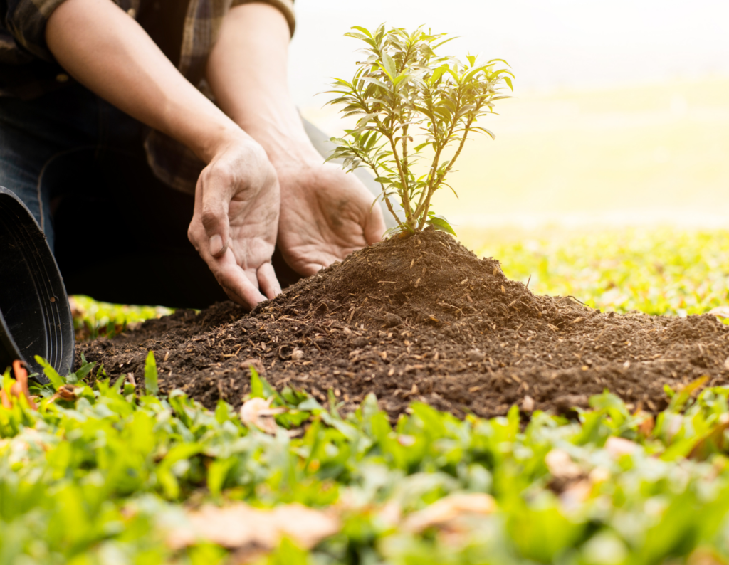Ingénieur(e) Responsable du Pôle PAPAM & Systèmes Agroforestiers