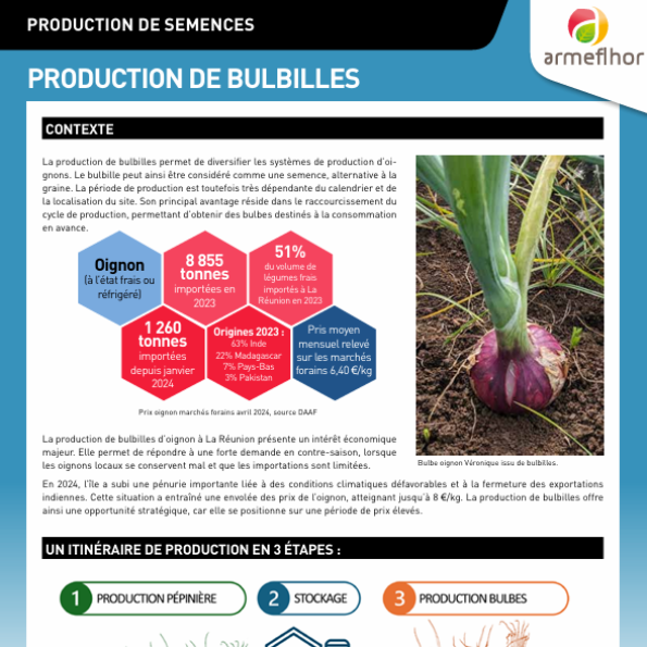 Production de bulbilles d'oignon : Références techniques et économiques