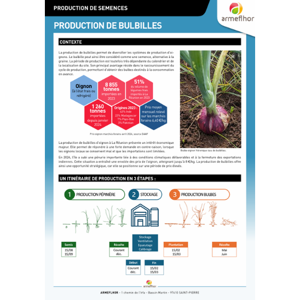 Production de bulbilles d'oignon : Références techniques et économiques