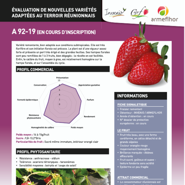 Évaluation de nouvelles variétés adaptées au terroir réunionnais – Fraise A92-19