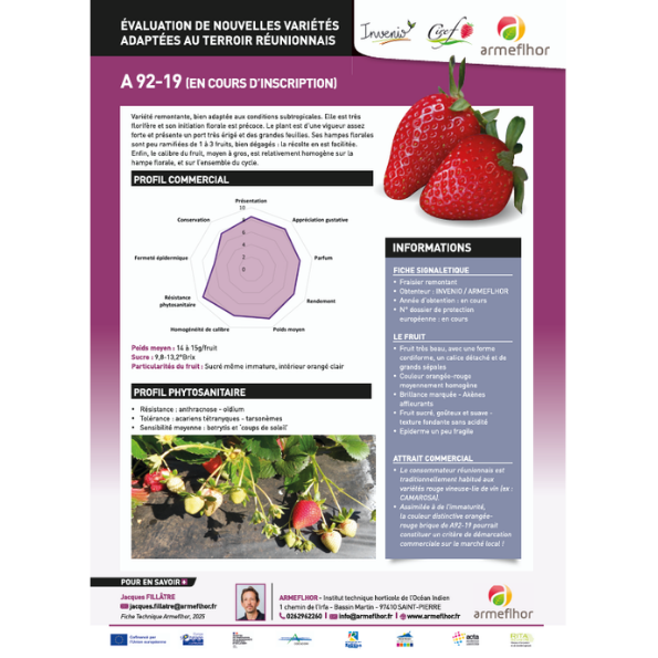 Évaluation de nouvelles variétés adaptées au terroir réunionnais – Fraise A92-19