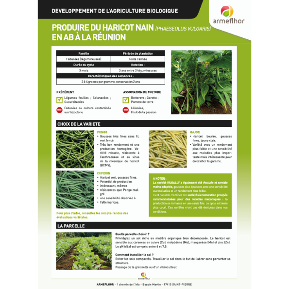 haricot texte