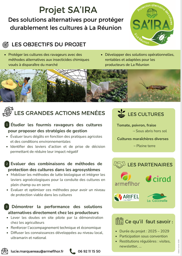 Projet SA'IRA