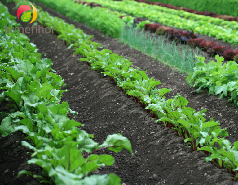 Volontaire en Service Civique – Expérimentateur(trice) agricole