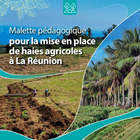 PACTE’haie – Mallette pédagogique pour la mise en place de haies agricoles à La Réunion
