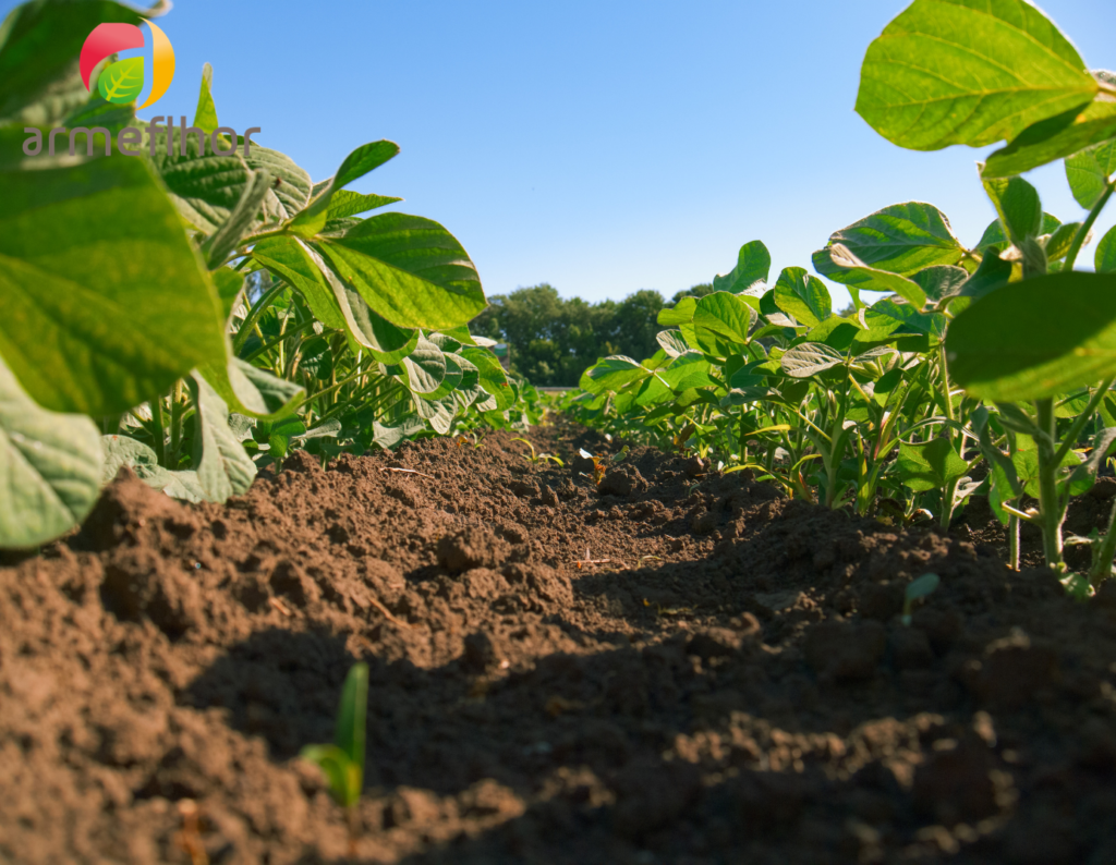 Chargé(e) de mission – Préparations naturelles peu préoccupantes